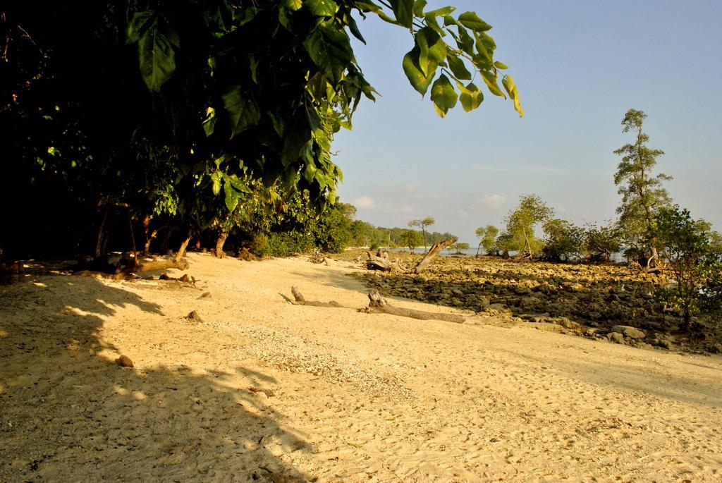 Sea Shell Neil Hotel Lakshmanpur Exterior foto