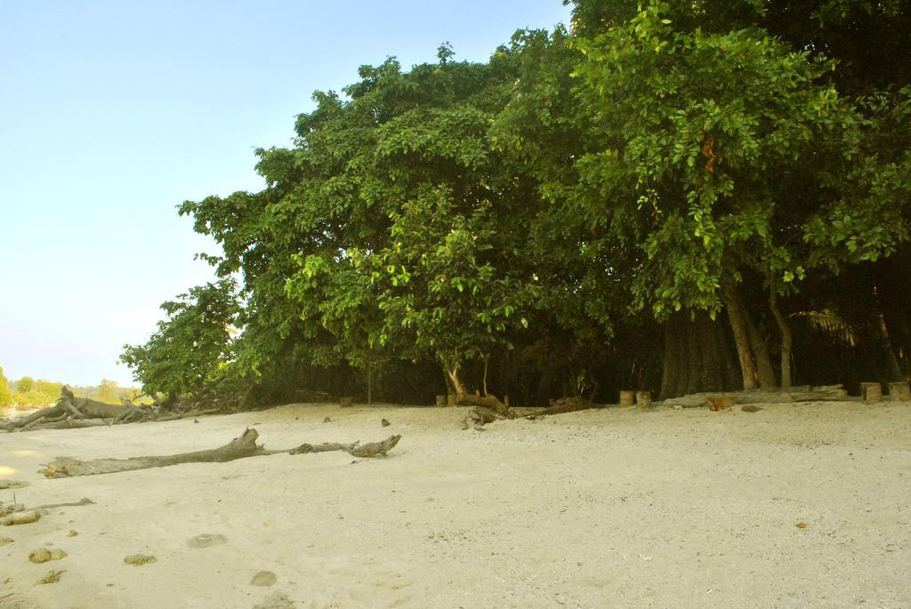 Sea Shell Neil Hotel Lakshmanpur Exterior foto